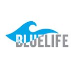 Blue Life Real Estate