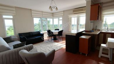 showcase_listing_image