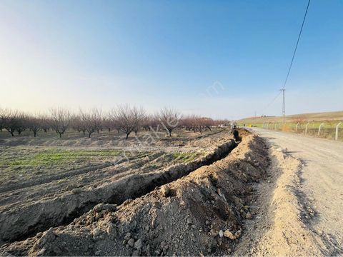Emlakçıdan Malatya Battalgazi Bağtepe Mahallesi Satılık Bağ & Bahçe 370,000 TL #12798966