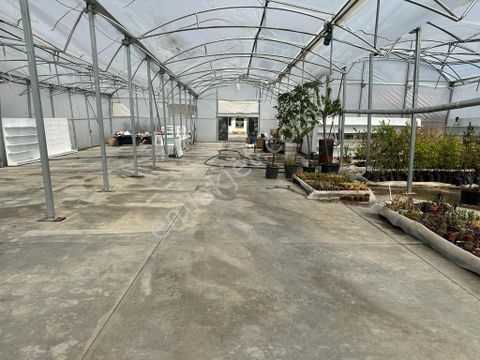 Emlakçıdan Malatya Yeşilyurt Yaka Mahallesi 4 Oda Devren Genel 5,350,000 TL #13206338