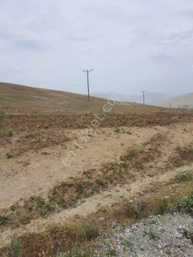 Emlakçıdan Malatya Battalgazi Şişman Mahallesi Satılık Bağ & Bahçe 1,100,000 TL #13356858