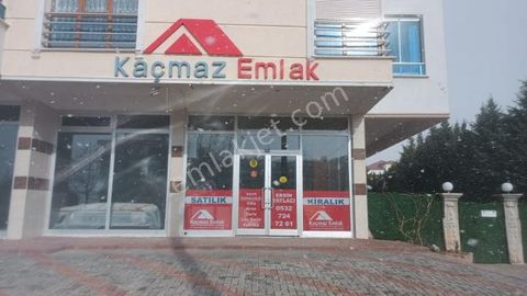 iri kıyım kadınlar arapgir mor reyhan çayı faydaları