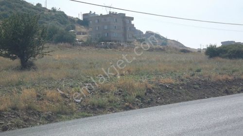 Arsa-Konut İmarlı