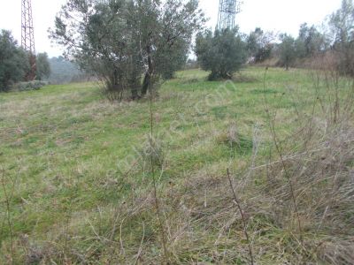 Arsa-Konut İmarlı