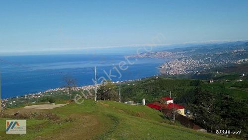 Arsa-Özel Kullanım