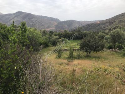 Arsa-Konut İmarlı