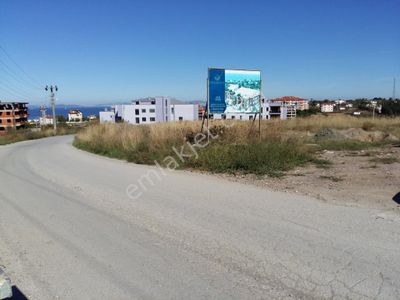 Arsa-Konut+Ticaret Alanı