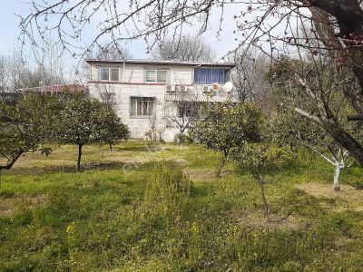 Arsa-Konut İmarlı