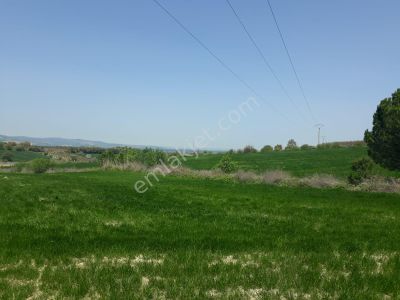 Arsa-Tarla