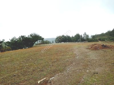 Arsa-Özel Kullanım