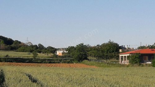 Arsa-Muhtelif Arsa