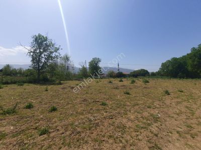 Arsa-Konut İmarlı