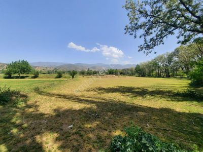 Arsa-Konut İmarlı