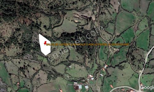 Arsa-Tarla