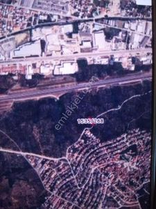 Arsa-Zeytinlik