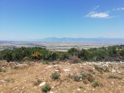 Arsa-Villa İmarlı