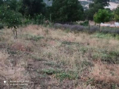 Arsa-Bağ & Bahçe