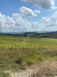 Arsa-Depo, Antrepo İzinli