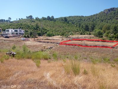 Arsa-Konut İmarlı