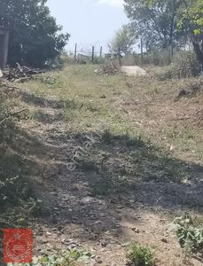 Arsa-Konut İmarlı