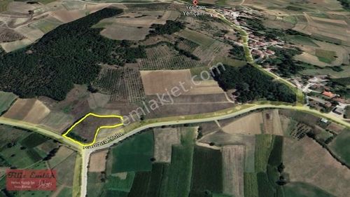 Arsa-Tarla
