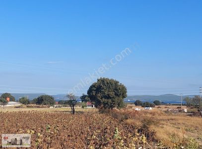 Arsa-Tarla