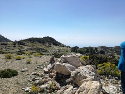 Arsa-Konut İmarlı