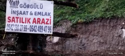 Arsa-Arazi