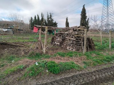 Arsa-Tarla