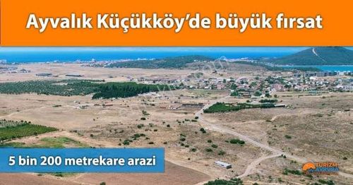 Arsa-Zeytinlik