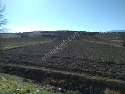 Arsa-Tarla