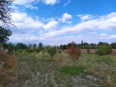 Arsa-Bağ & Bahçe