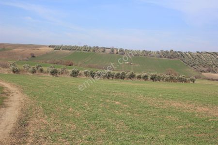 Arsa-Tarla