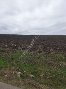Arsa-Tarla