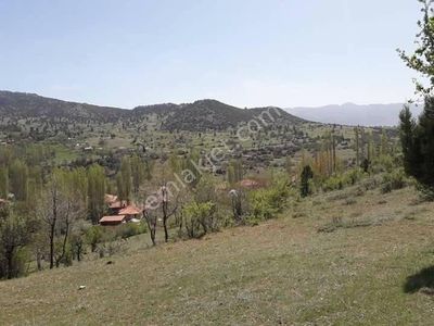 Arsa-Tarla