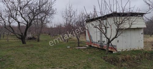 Arsa-Bağ & Bahçe