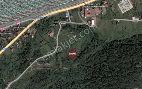 Arsa-Tarla