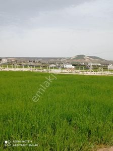 Arsa-Tarla