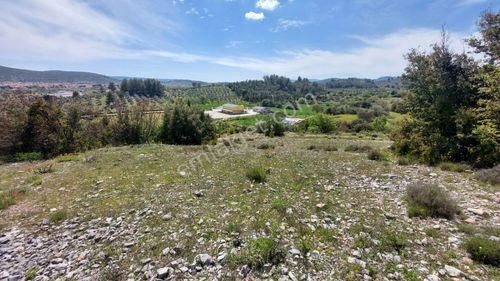 Arsa-Konut İmarlı