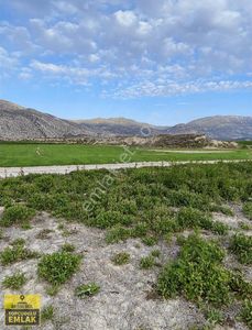 Arsa-Tarla