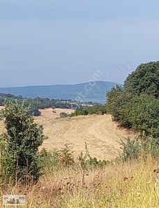 Arsa-Tarla