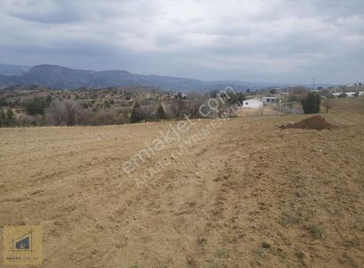 Arsa-Tarla