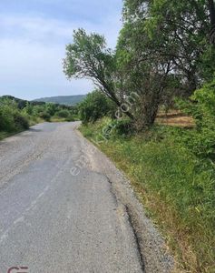 Arsa-Tarla