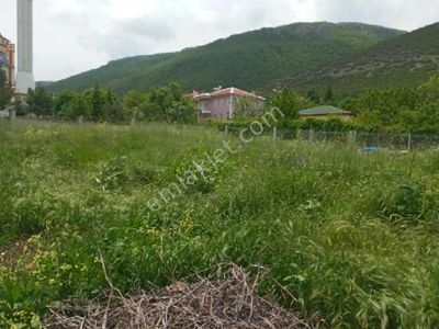 Arsa-Konut İmarlı