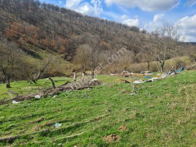 Arsa-Konut İmarlı