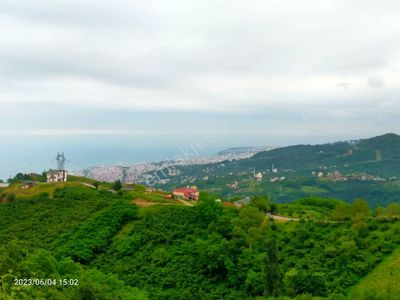 Arsa-Muhtelif Arsa