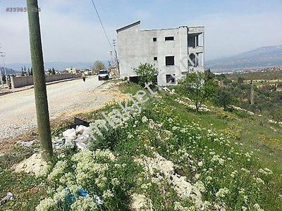 Arsa-Konut İmarlı