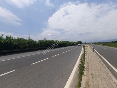 Arsa-Bağ & Bahçe