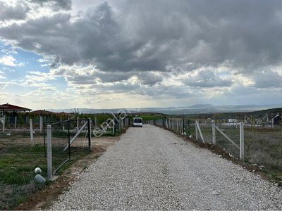 Arsa-Bağ & Bahçe