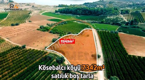 Arsa-Tarla